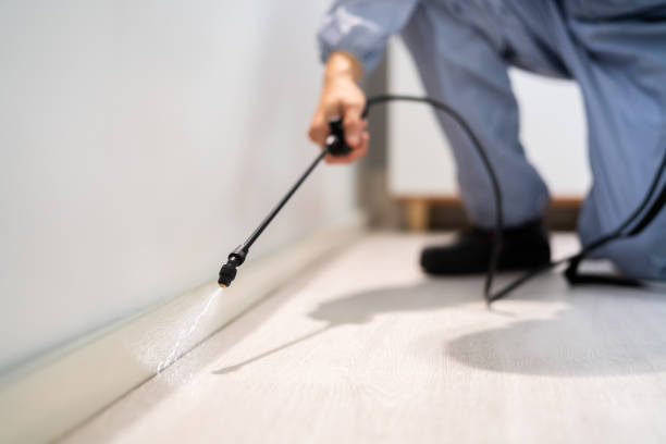 Licensed Pest Control service in Stockton, UT - Show Me Pest Control